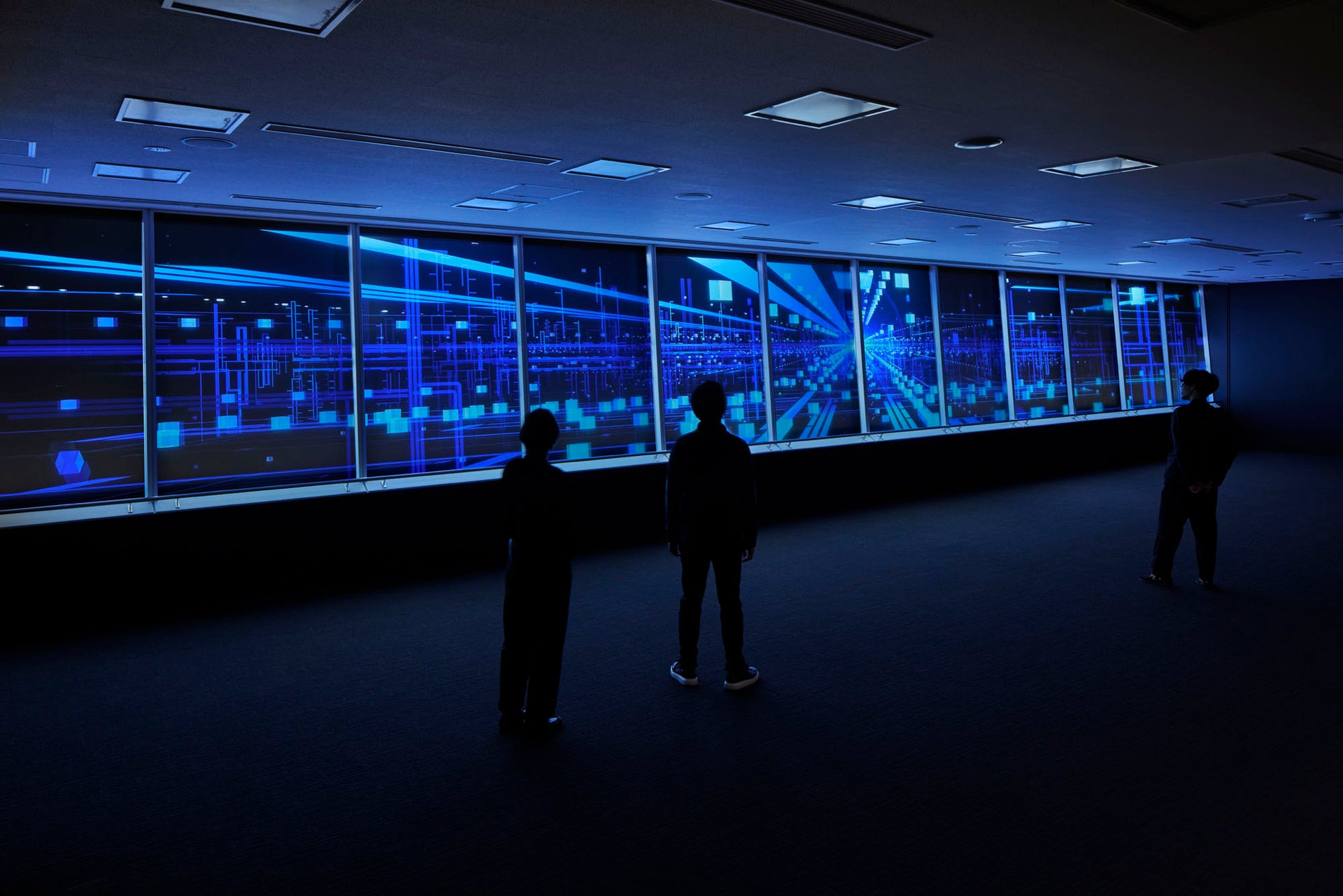 H.U. Bioness Complex